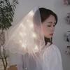 Hochzeit Schleier mit Clip/Kamm Haarschmuck für Bräute Mädchen Tüllschleier mit Rand und Lichterkette 8 Farben