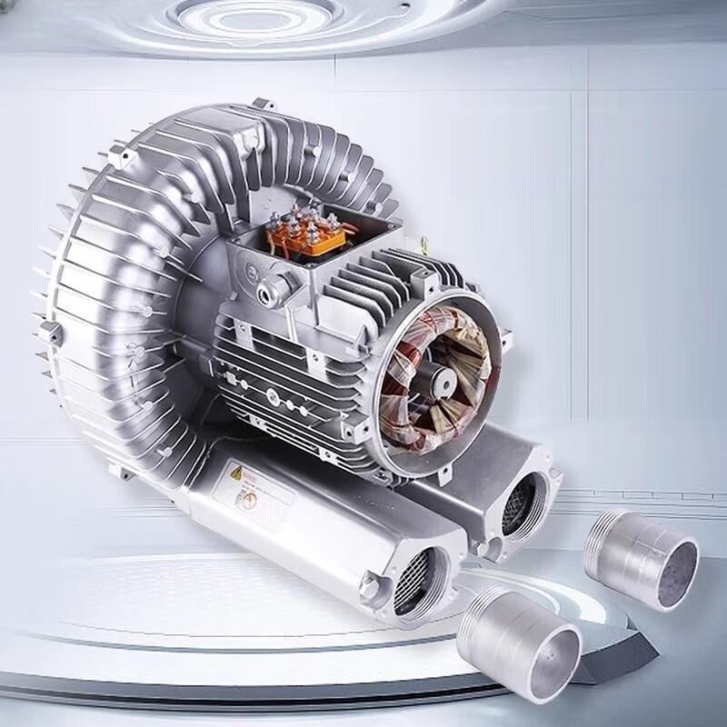 JZDASI High-Pressure Vortex Air Pump CN plug (adapter included)