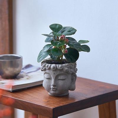 Buddha Head Flower Pot Container Planters Indoor Plants Sculpture Decors Vase Plant for