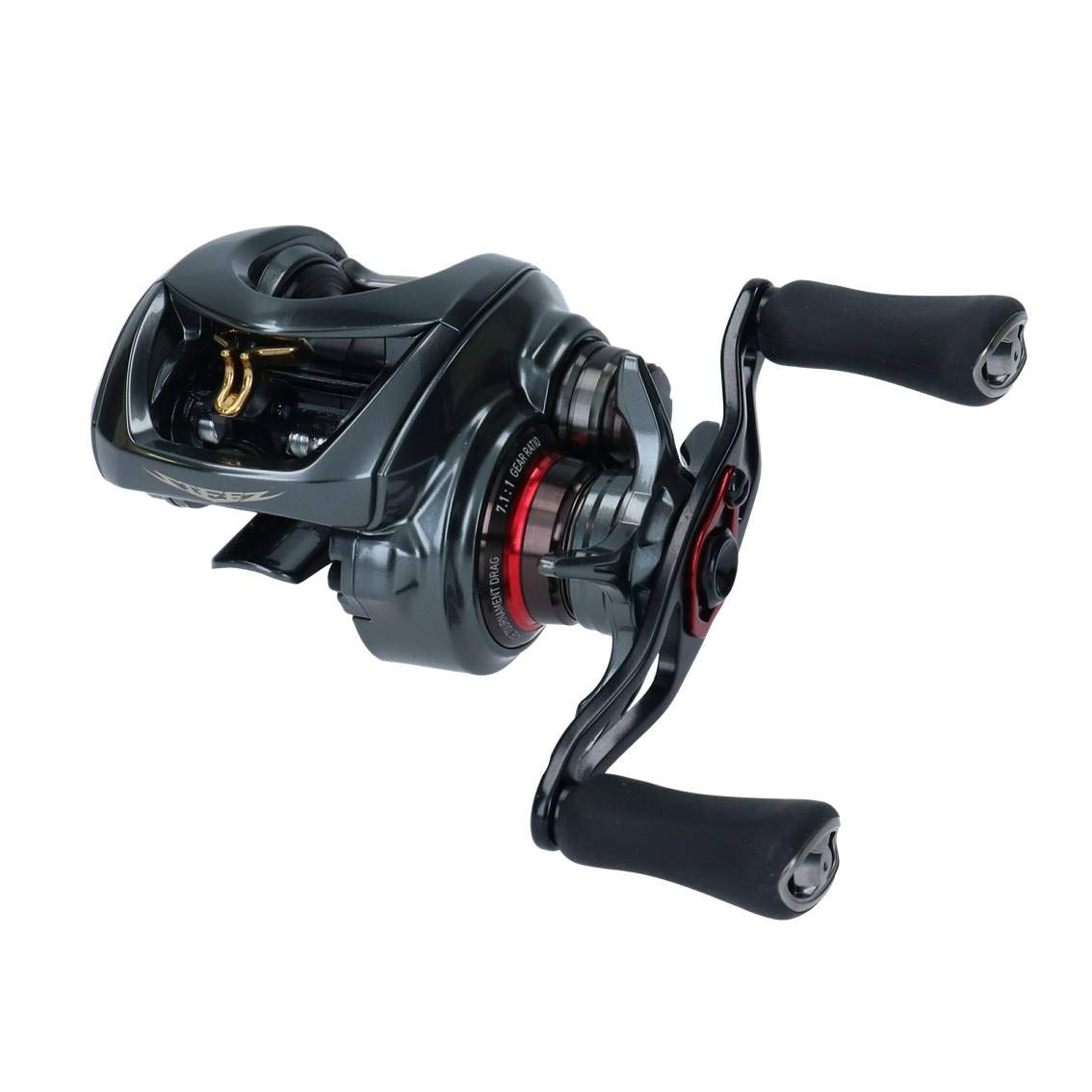

DAIWA Baitcasting Reel 19 Steez CT SV TW 700SHL (2019 Model)