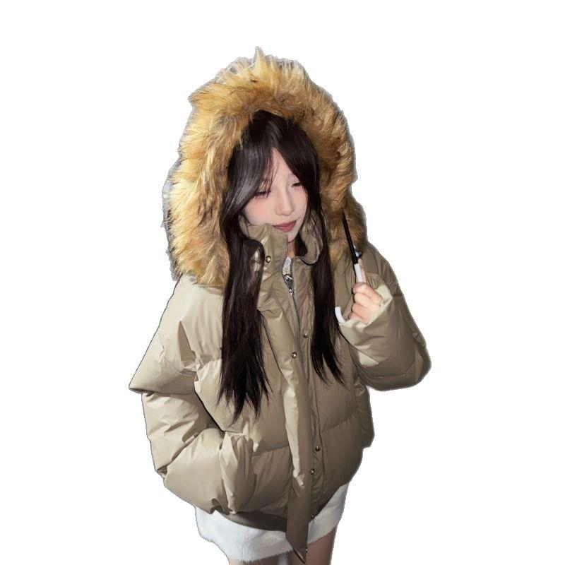 Casual Versatile Niche Fur Collar Hooded Jacket Women's Season Warm Loose Simple Down Cotton-padded Coat