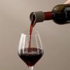 Anvelo Silicone Wine Stopper & Pour Spout Set