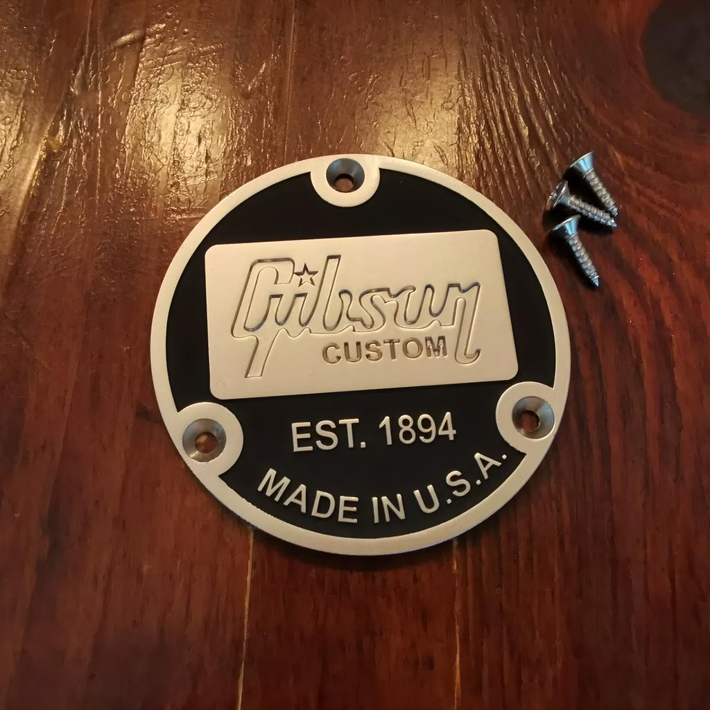Elektrische Gitarre Schaltungsschalter Rückplatte Hintere Abdeckung für Gibson Epiphone EST 1894 Metallschalterabdeckung