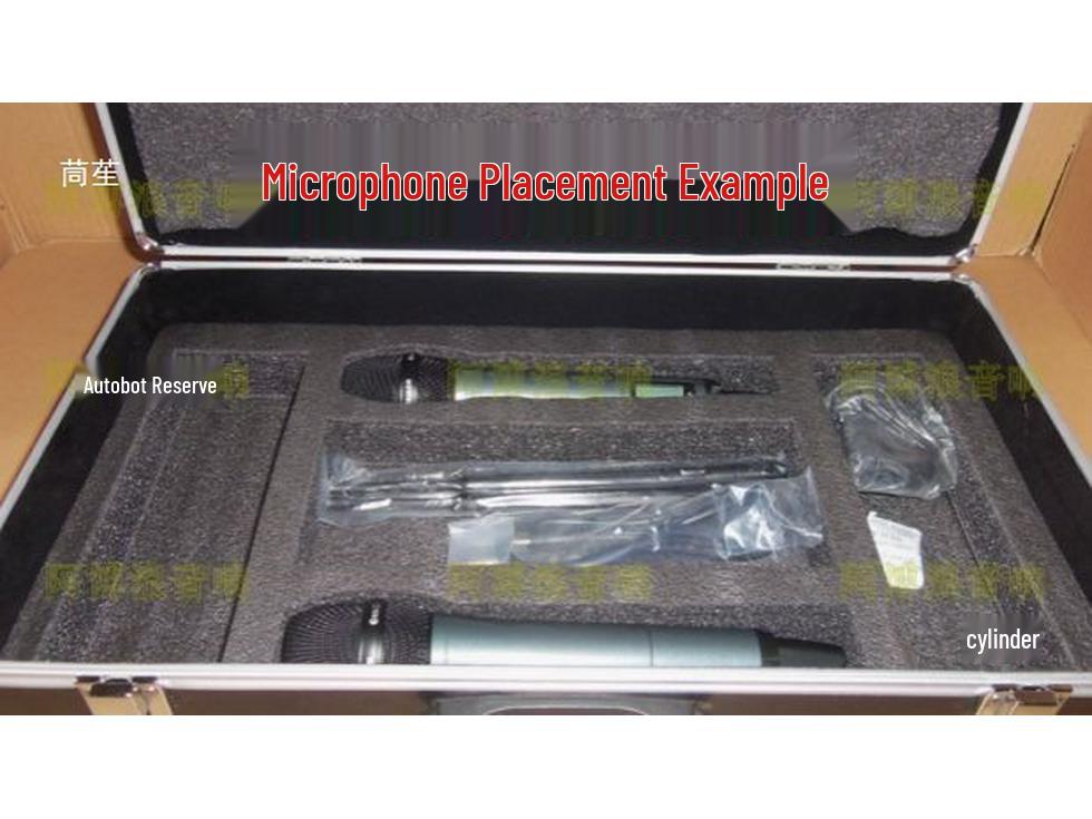 

Aluminum Microphone Case: One-to-Two and One-to-Four Multislot Flight Suitcase 1 main body 4 microphones reinforced black