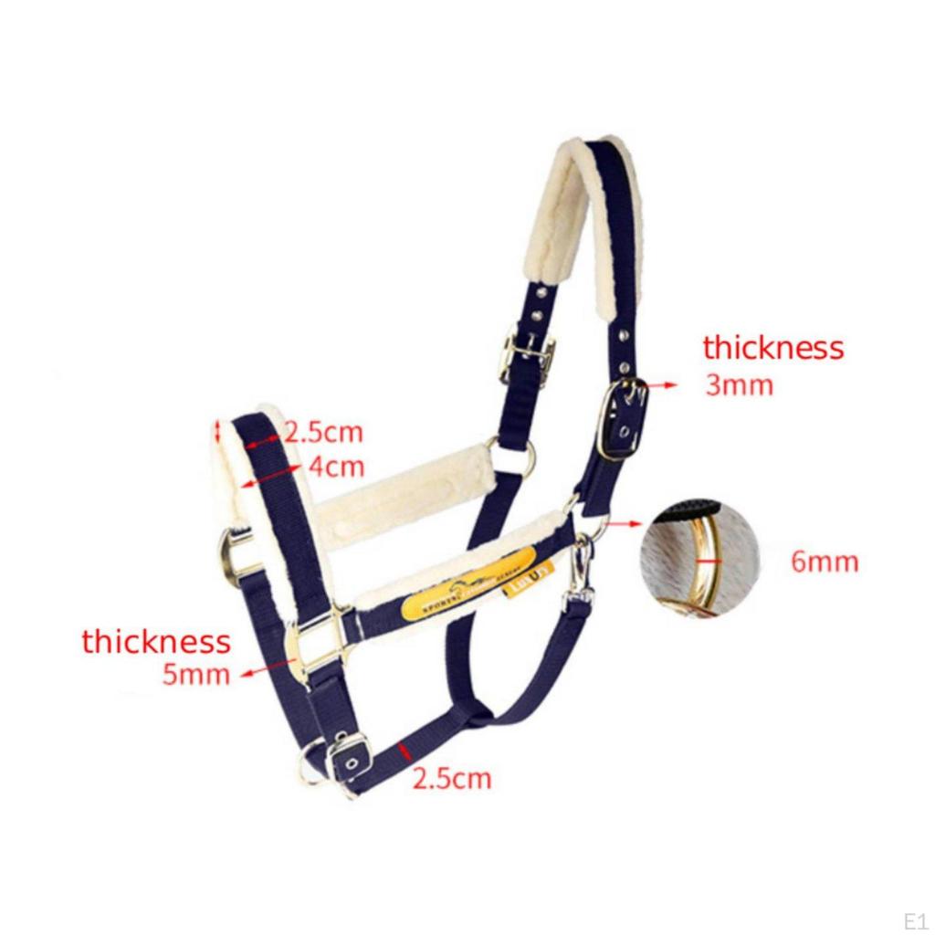 Padded Horse Halter AntiRub Equine Prevents Rubs Headcollar for Leading, Training,