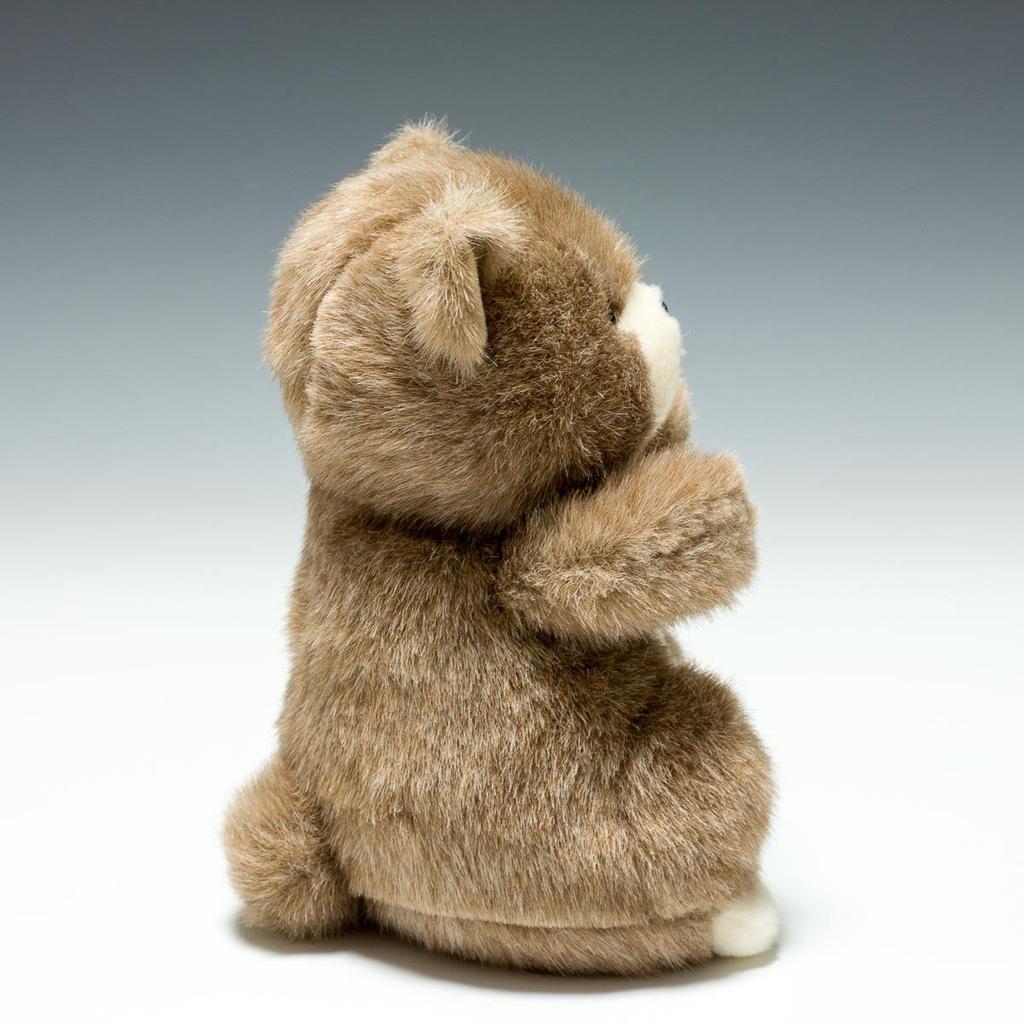 Forest friend (S) bear brown