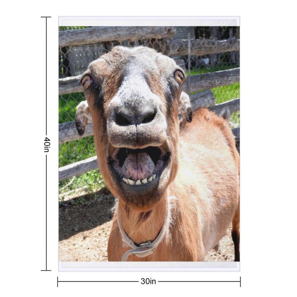 Capra sorridente, capra che urla, capra divertente Coperta da viaggio Picnic Polare Designer pesante per dormire Coperte