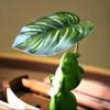 Leaves to cool off simulated frog ornaments fish pond fish tank micro landscape layout home balcony crafts