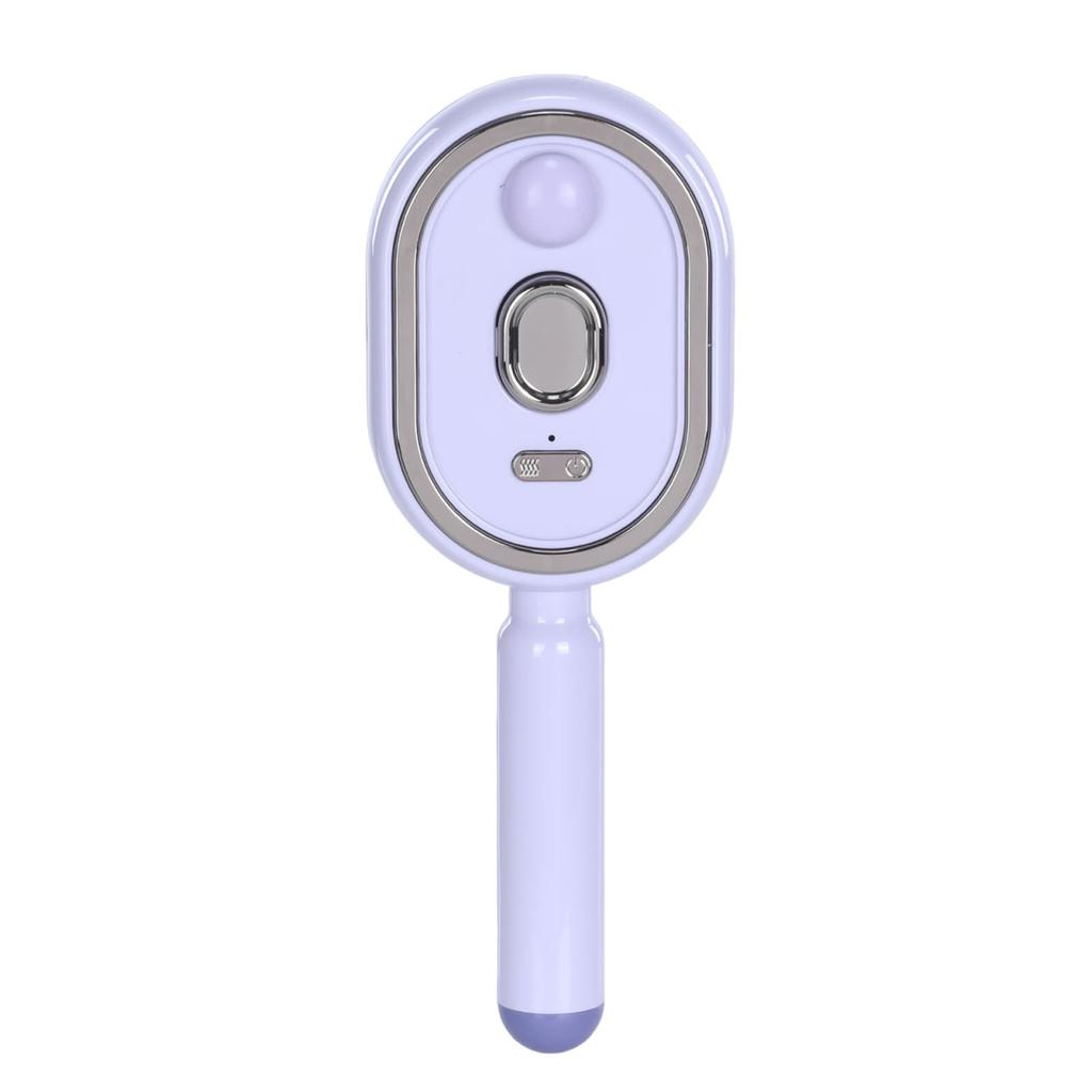 Electric Steam Brush USB-C Charging Wet Electrics Hairbrush Rechargeable Steams Hair Straightener for Both Long & Short Hairs