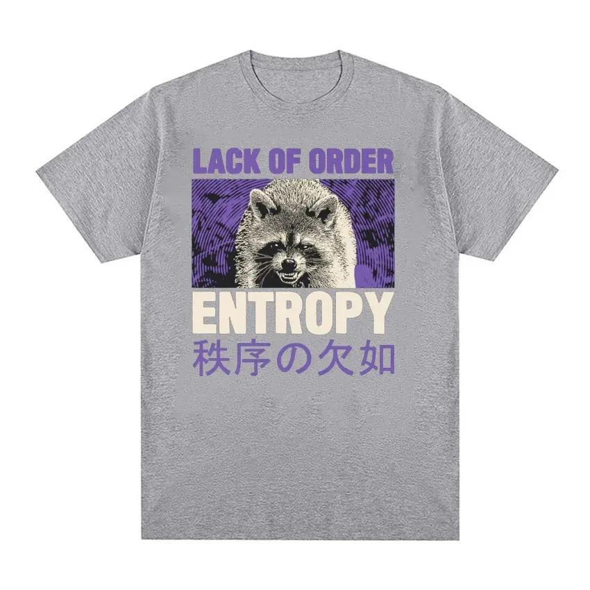 90s Retro Entropy Raccoon Funny Meme Tshirt Lack OF Order Men Women Fashion T-shirt O-Neck Cartoon T Shirt Printed Tees Top