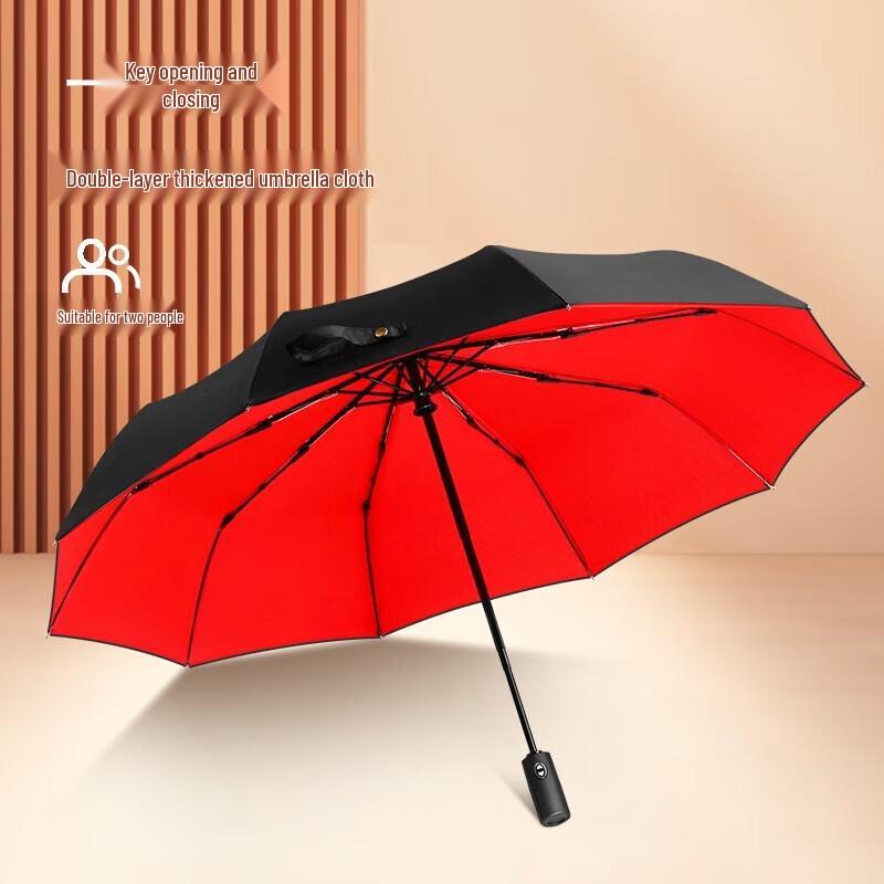 Automatic 10-Rib Double-Layer Windproof Folding Umbrella