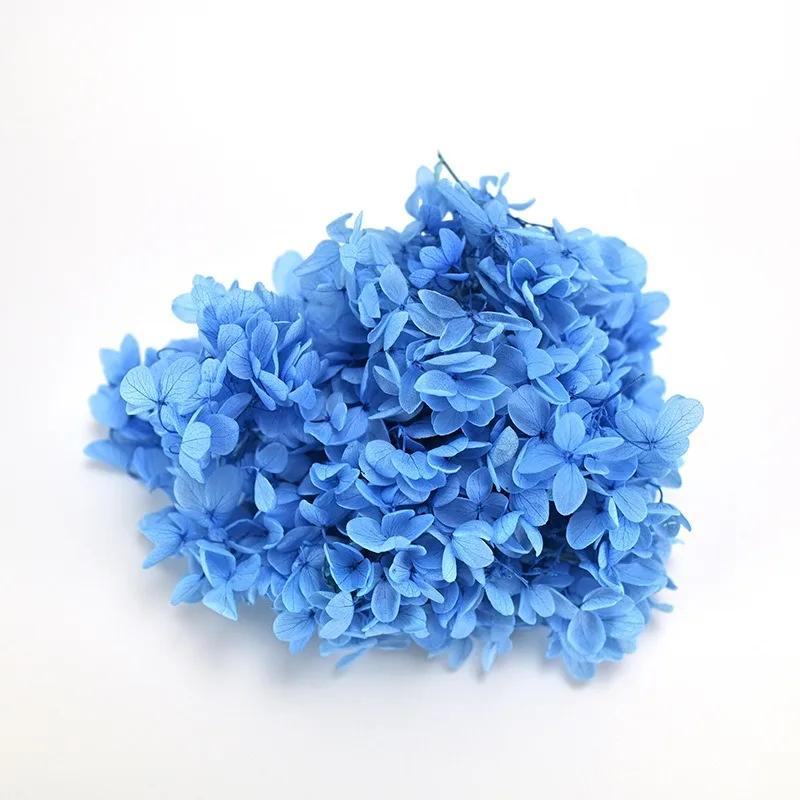 20g Natural Dried Flowers Hydrangea Macrophylla Home Flowers Decoration Wedding Celebration Bouquet Materials