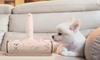 Japan Seal Pakpak Roller Casey Dog Hair Remover Cleaning Roller Etiquette Brush Carpet Sofa Rug Cat Hair Dust Remover Dust Shedding Hair Dog Hair Cat