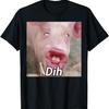 Funny Dih Brainrot Gen Z Humor Pork Meme Dihh Meme Gen Alpha T-Shirt