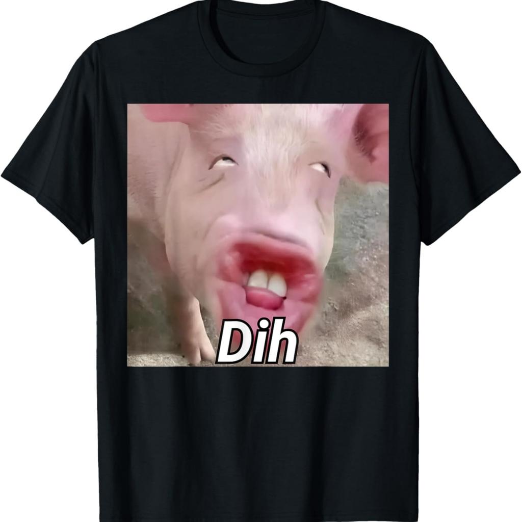 Funny Dih Brainrot Gen Z Humor Pork Meme Dihh Meme Gen Alpha T-Shirt