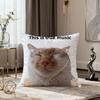 Funny Meme Cute Art Come Here Cat Kawaii Soft Pillow Cover for Sofa Home Living Room Decor Protective Covers Hogar Pillowcase