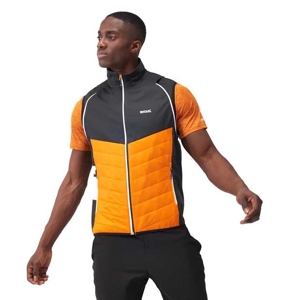 Regatta Steren Hybrid Softshell-Jacke