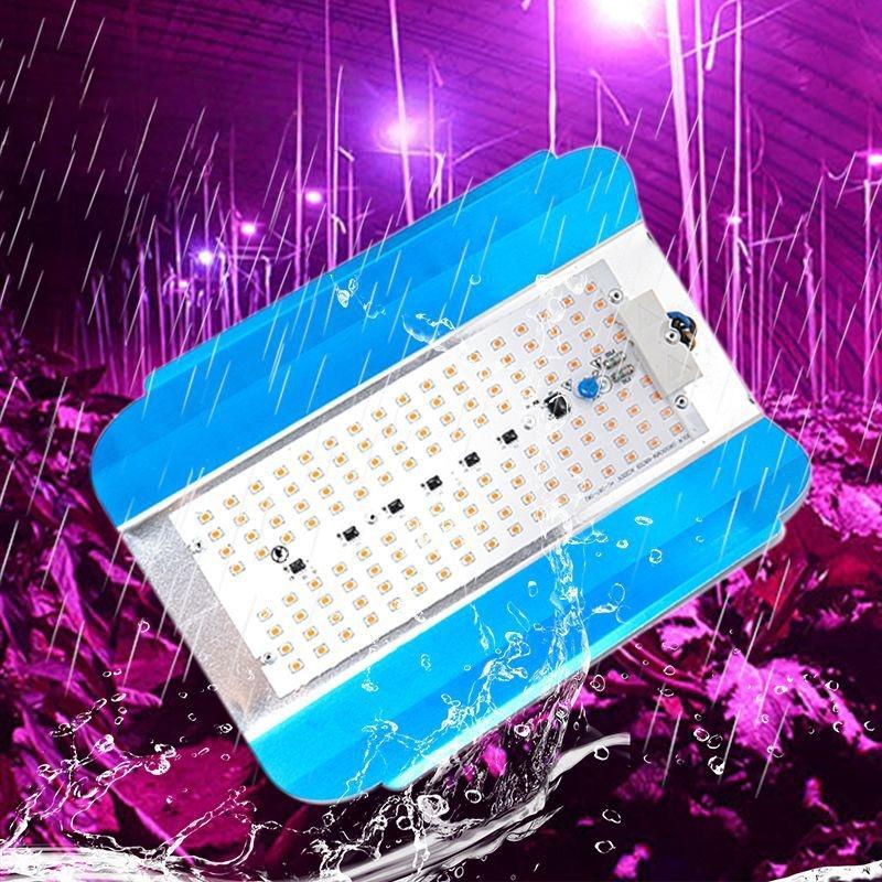 LED COB Lodine Tungsten Spectrum LED Grow Pink 380-840nm 100W 50W AC 220V  Led IC Plant Lights Fllood Light Vegetable Plan