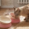 Slanted Mouth Tilted Pet Bowl Adjustable Angle Neck Care Bowl Anti-Slip Dish  Pet Meal Time