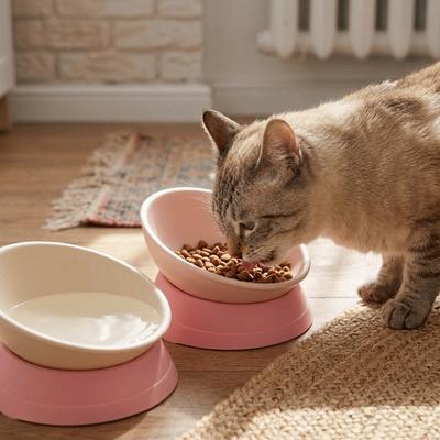 Anti-Tip Tilted Pet Bowl Slanted Mouth Anti-Slip Dish Spill-Proof Food & Water Bowl  Daily Feeding