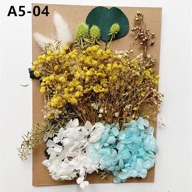 Exquisite Eternal Dry Flower Ancient Style Group Fan Material Pack for Children's Handmade Exclusive Decoration Dried Flowers