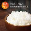 SOUYI Compact Multi-Purpose Rice Cooker, 1 Cup (1 Cup) [Timer/Keep Warm Function], Mini Rice Cooker for Single-Person Living (White)