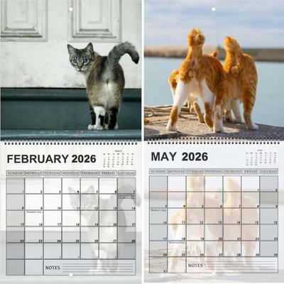 Yousheng 2026 Cat Ball Calendar Jan.2026 - Dec.2026 12 Monthly Wall Calendar with Hilarious Feline Moments Gag Gift for Cat Lovers