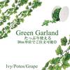 Green Order Issued Garland/Vine/Ivy/Ivy/Pothos/Grape/30m/Roll/Bulk possible/Receipt Gla-118311841185 (Grape)