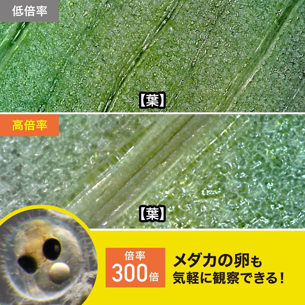 Sanwa Supply 2 Megapixel (Full HD Compatible) USB Microscope LPE-08BK