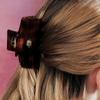 Brown Hair Clip RA24C59R