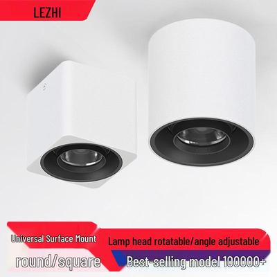 Adjustable LED Ceiling Downlight - Anti-glare Recessed Spotlight for Home and Hallway