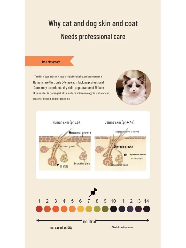 Yinuo Kitten Bath Gel - Antibacterial, Degreasing, Long-Lasting Fragrance, British Shorthair Specific Shampoo.