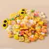 Mixed 10pcs Resin Colorful Heart Flower Animal Rainbow Charms for Earring Necklace Handmade Jewelry Making Accessories