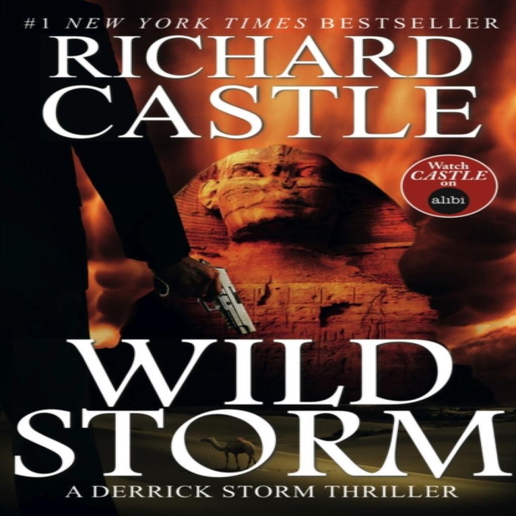 Wild Storm by Richard Castle Paperback Book 9781783294305