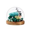 Eternal Flower Rose Glass Cover Finished Gift Box Valentine's Day Wedding Creative Gift for Girlfriend Eternal Flower Ornament