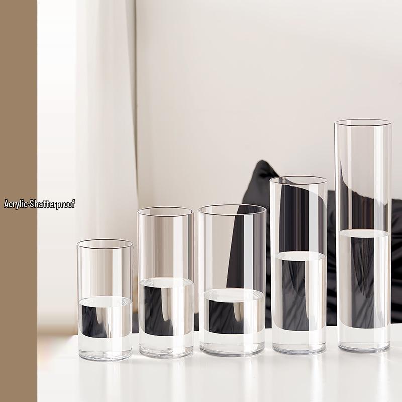 Drop-Proof Acrylic Vase for Modern Minimalist Living Room with Hydroponic Lucky Bamboo and Large Green Plant