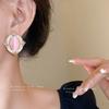 Silver Needle Diamond Drip Oval Opal Earrings Retro Sweet Temperament Earrings Court Style Fashion Earrings