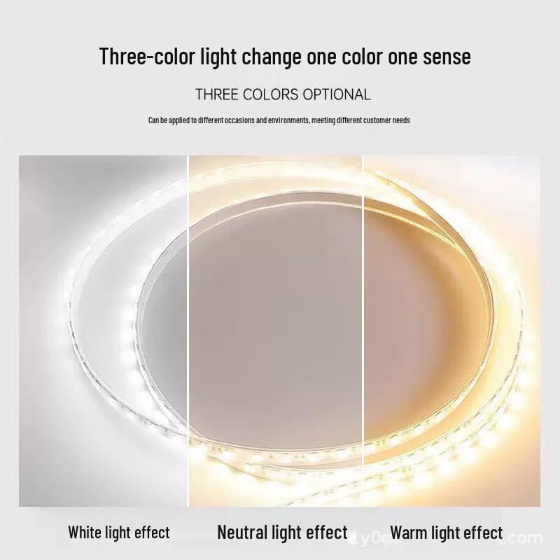 Smart 24V Dual Color LED Strip: 240 LEDs, Dimmable & Adjustable Color Temperature, Connects to Smart Systems.