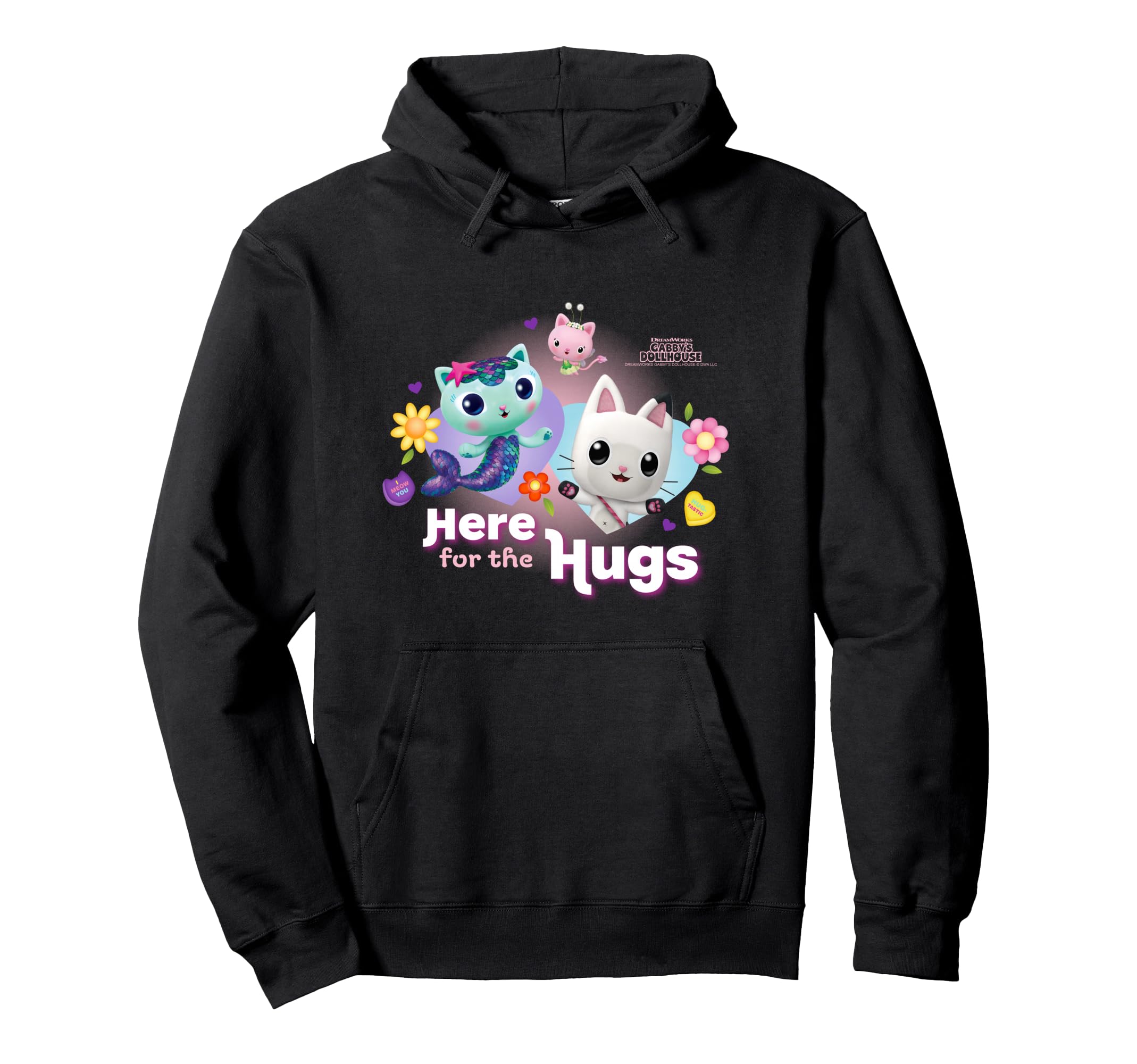 

DreamWorks Gabby s Dollhouse Pandy Mercat Kitty Fairy Hug Hoodie