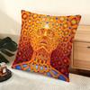 A-Alex G-Grey Trippy Cushion Cover Soft Short Plush Pillow Cover Smooth Cozy Texture Aesthetic Cushion Case Home Decor