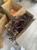 Artificial Cimicifuga Plant Leaves Stems Fake Vase Dining Table Garden Fireplace Decoration