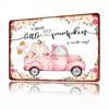 Funny Metal Tin Sign Vintage Home Decor Wall Art Gift