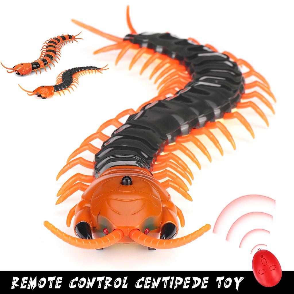 centipede cat toy