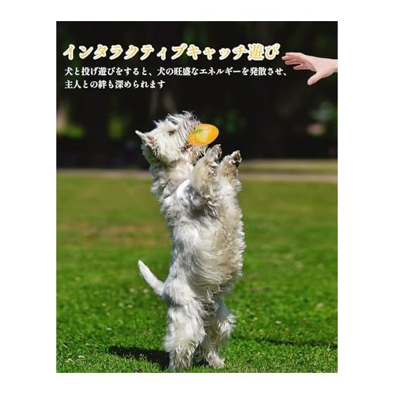 SCHITEC Dog Chew Toy Ball, Dog Toy, Makes Sound [For Small Dogs Only] Dog Supplies, Educational Toy, Dog Toy That Barks In Response To Sound, Stress