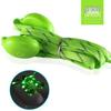 Yadai LED Colorful Luminous Shoelaces - Multicolor Nylon Braided Party Prop