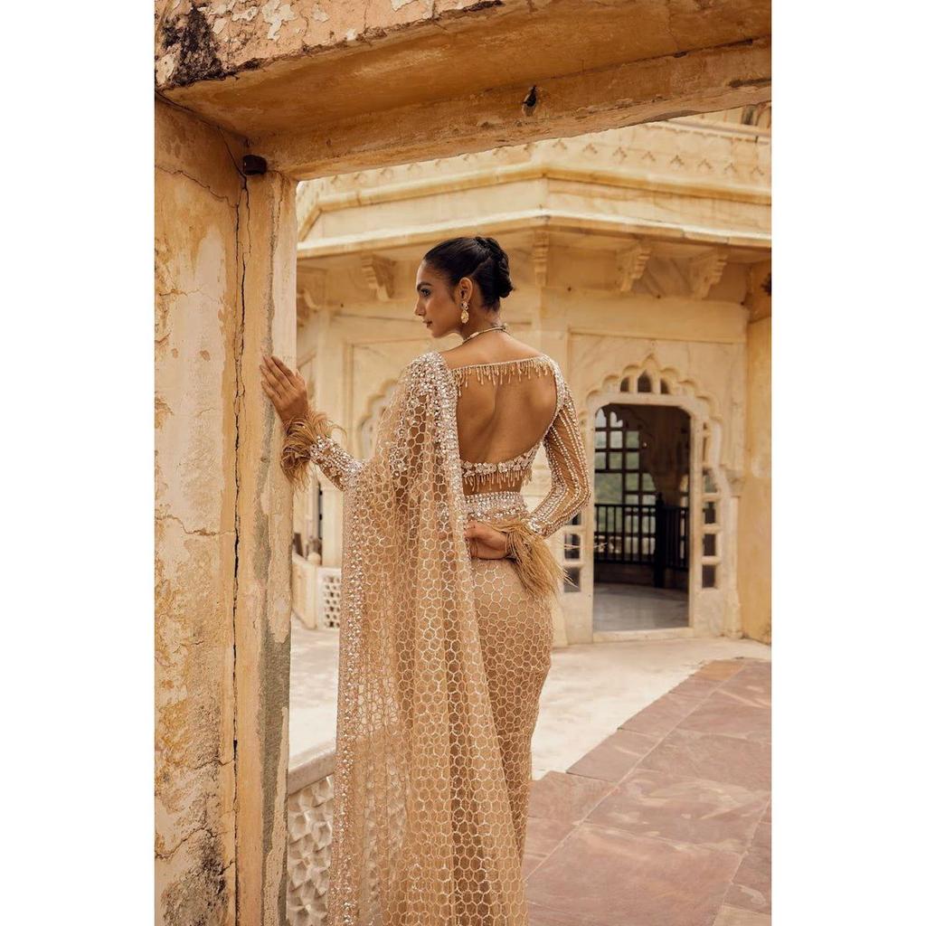 Hochwertiger Saree mit Schmetterlingsnetz-Stickerei