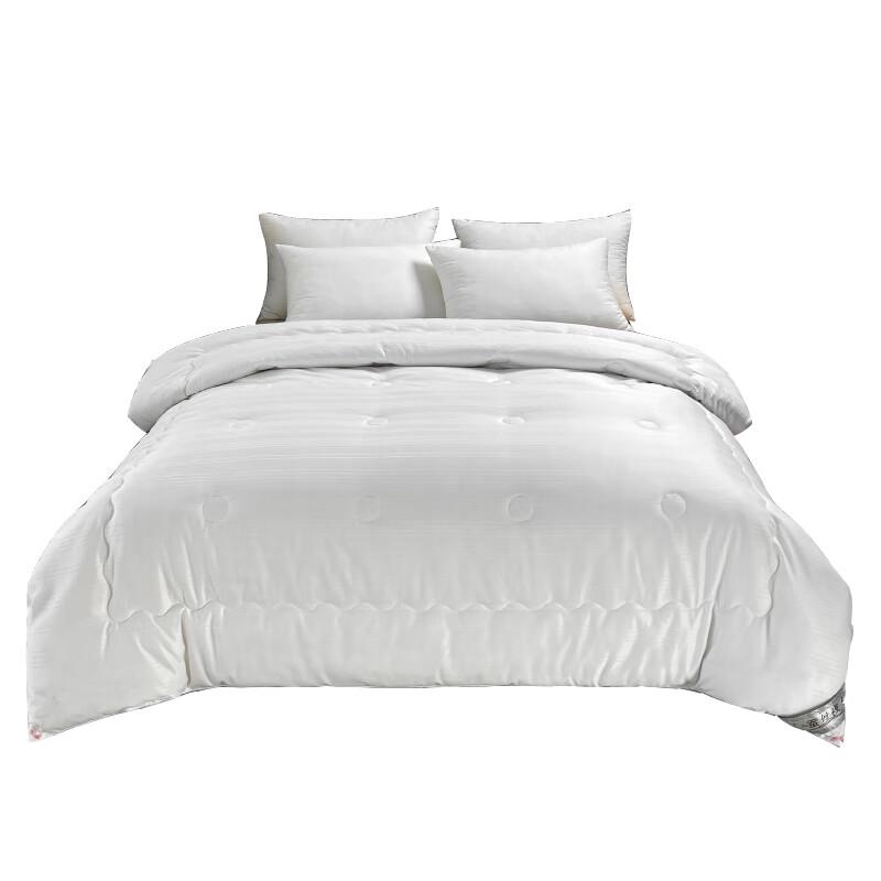 

Luoxinu Luxury Tussah Silk & Soy Blend Quilt