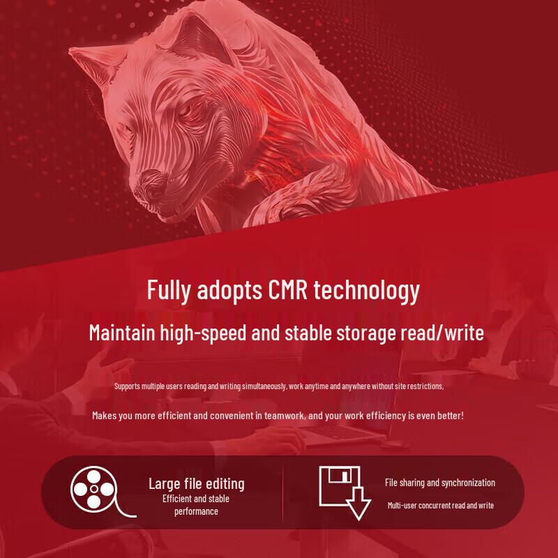 Seagate IronWolf Pro NAS Hard Drive