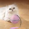 Automatic Cat Interactive Ball Rechargeable Self-playing Cat Ball Interactive Cat Ball Toy  Indoor