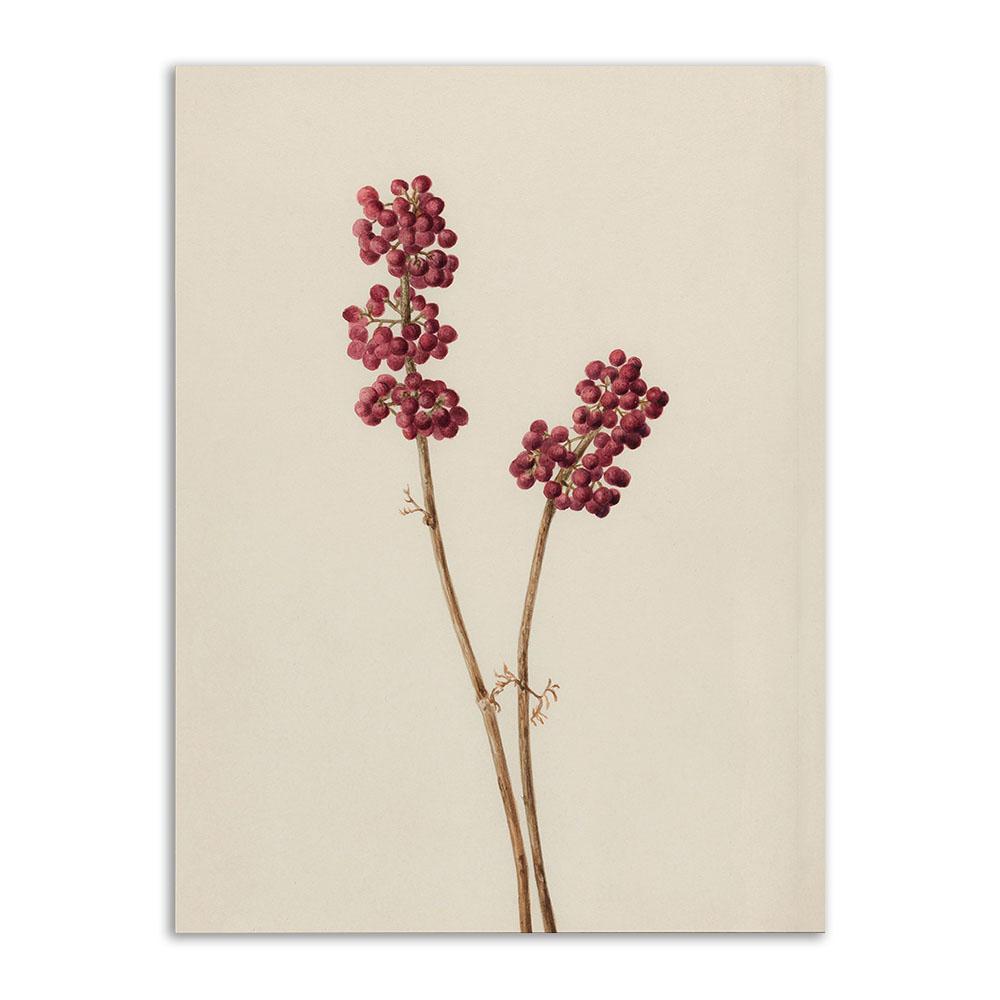 

Винтажный папоротник, настенное искусство, нейтральный ботанический постер и принт, пион, фермерский дом, холст, картина, украшение для дома, Настенная картина, Декор, искусство 21x30cm No Frame